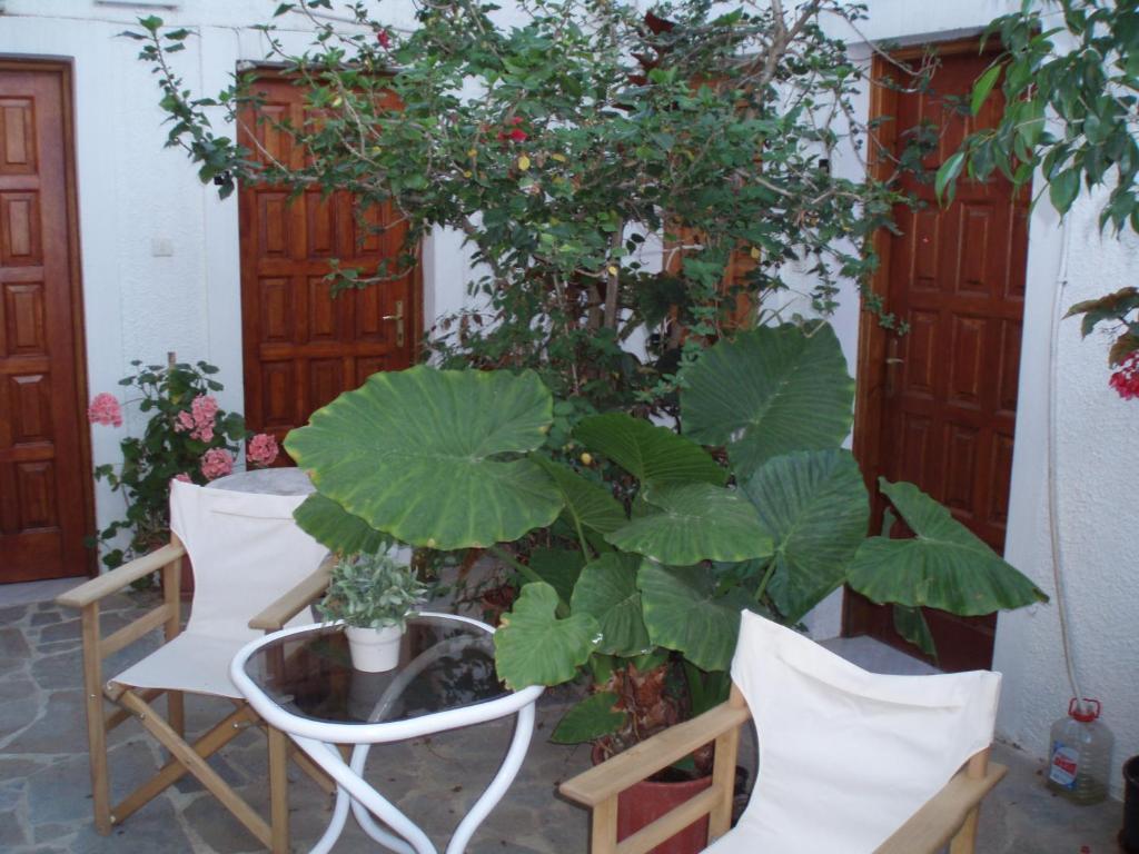 Pantazis Studios Aegina 部屋 写真