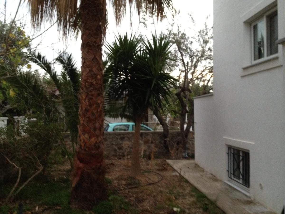 Pantazis Studios Aegina 部屋 写真